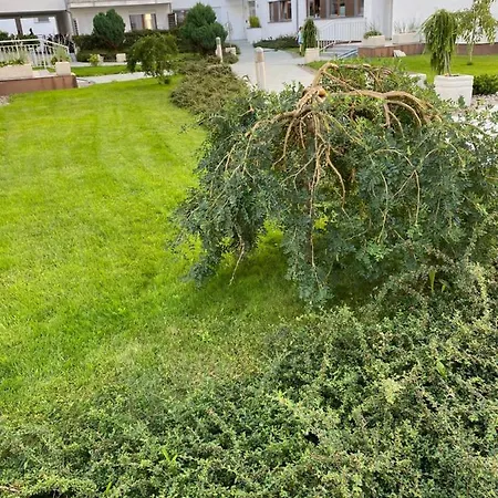 Scandinavia 斯维诺乌伊希切