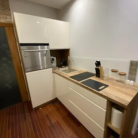 Scandinavia 公寓 *