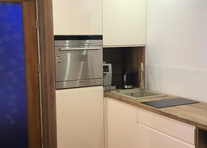 شقة Scandinavia سفينويتشي